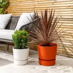 Plant parent course outdoor