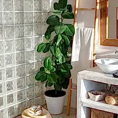Bring the outside in1