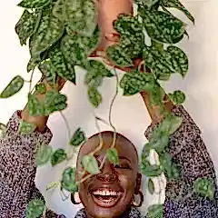 Chrismas plant gifts