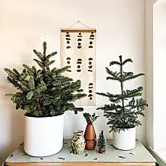 Decorating for christmas