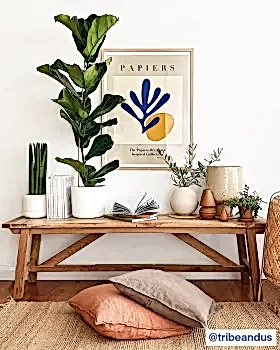 Fiddle life fig tribeandus2
