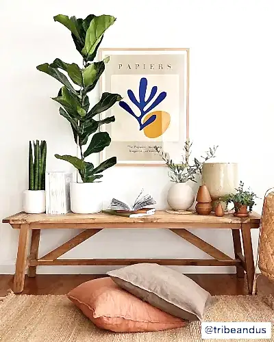 Fiddle life fig tribeandus2